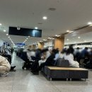 뉴일번지뽑기방 | 부산 출발 배타고 후쿠오카 여행 뉴카멜리아 다인실 후기