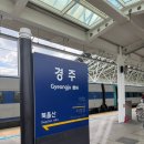 팔레트 펜션 | 경주독채펜션 한옥스테이뜰 경주한옥펜션 마당이 예쁜 경주감성숙소