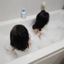 아기 유아 거품목욕 다시마 입욕제 바다품애 다퐁