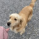 반하면 오토캠핑장 이미지