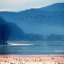 우포늪 생태 사진전 이미지