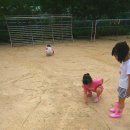 개금초등학교 Daum카페