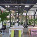 무지갯빛 이미지