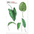 A0155 쇼핑하우