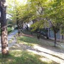 참부동산행정사 이미지