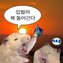 진성한우 이미지