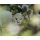 길량