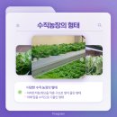 프로젝트 파이브 이미지