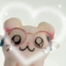 세종로 45번길 | 랑씨 생일파뤼💥🤍 (여주금은모래캠핑장, 여주규규 후기, 여주 드롭베이커리, 도자기공방 밤골도예추천)