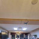 포레시안1-2 이미지