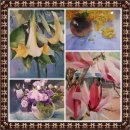 가온그림2 이미지