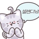토리153 이미지