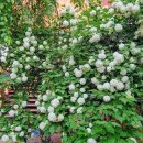 진석호치과의원 이미지