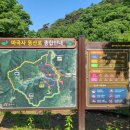 새희망 이미지