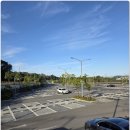 교동도 화개정원 및 대룡시장, 평화전망대(2025.9.21) 이미지