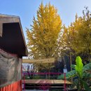 멍펜션9 이미지