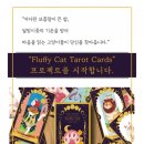 밤고양이 타로 네이버블로그