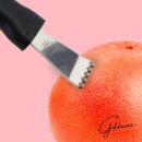 제스트칼 이미지