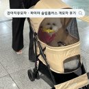 코스탁지점 | [ 강아지유모차 ] 파미야 슬림플러스 개모차 사용후기