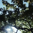 맥행정사, 손해사정사무소 이미지