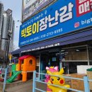 토이핑 | 울산 빅토이 장난감천국 다녀온 후기 / 아이랑 가기 좋은 곳