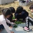 하늘소어린이집 | 군포 산본 감나무어린이집 - 하늘소의 1일교사 후기.