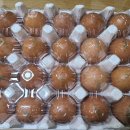 청곡농장 | 👩🏻‍🌾올웨이즈 올팜 계란 수확 후기/VIP, 맞팜 해요