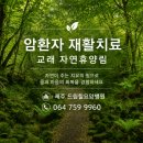 [공지] 교래 숲길걷기 제주 암요양병원 드림힐요양병원 암환자 재활치료 이야기