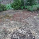 포포농장 이미지