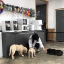 포레스트문 이미지