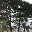 외씨버선길 이미지