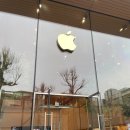 신사동-14 이미지