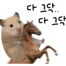 면목본동주민센터 이미지