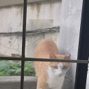 토모 - 남구 남중로 5 | 토모