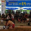 자인계정숲(씨름장) 이미지