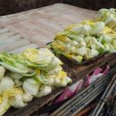 이배농장 이미지