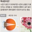 으뜸플러스안경 인계점 이미지