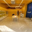 플랜멍 강아지분양 포항점 이미지