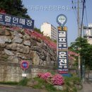 국제자동차운전학원
