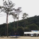 알멕스랜드 캠핌장 이미지