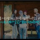 건강의 숲 이미지