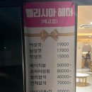 엘리시아헤어 이미지