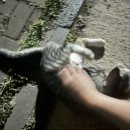 캐슬블랙스톤1 이미지