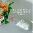 세 | [진주 • 사천] 경남 부케 말리기 전문 세소당 내돈내산 후기