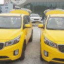 보람관광 이미지