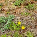 곤의농장 이미지