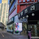 멍멍이발소 이미지