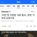 ‘25만 원 지원법’ 국회 통과…정부, 거부권 요청키로 이미지