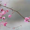 대경탁구장