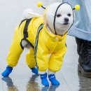 앤유